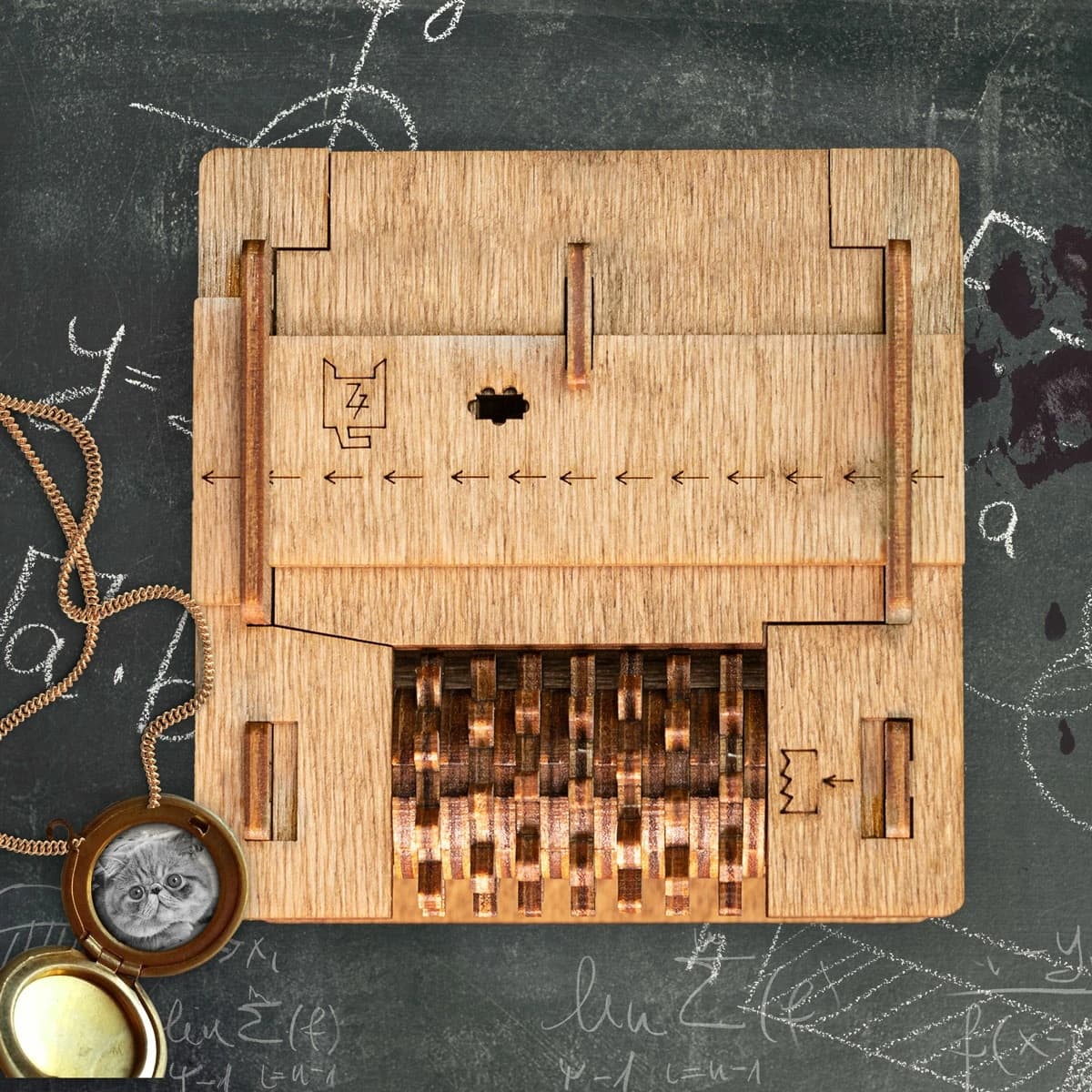 Pisica lui Schrodinger iDventure Cluebox– Dilema Cuantică într-un Puzzle - Imaginea 2