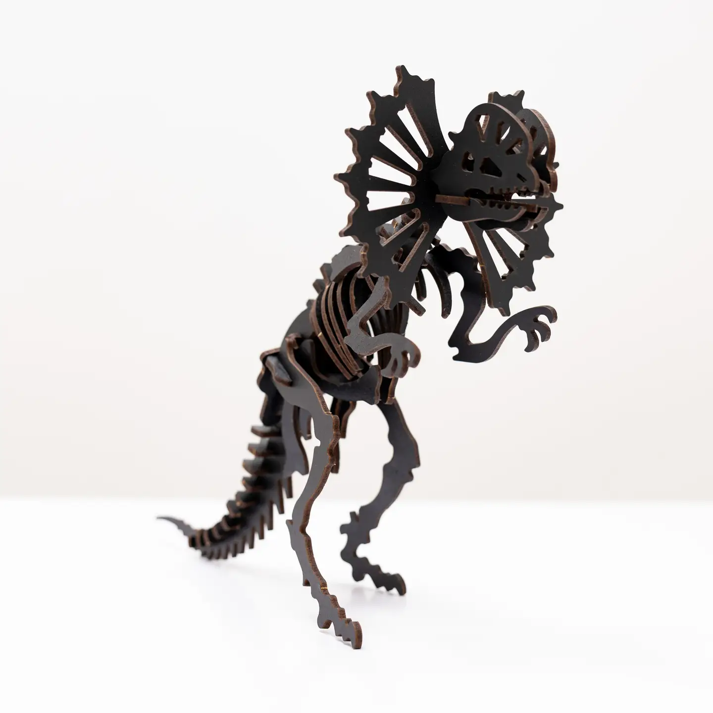 Puzzle Lemn 3D - Skeleton Dilophosaurus